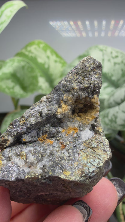 Chalcopyrite with Quartz- Colorado, USA