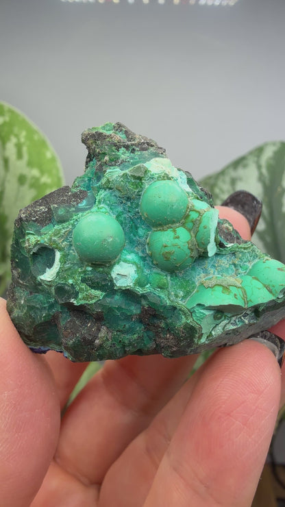 Chrysocolla- Arizona, USA