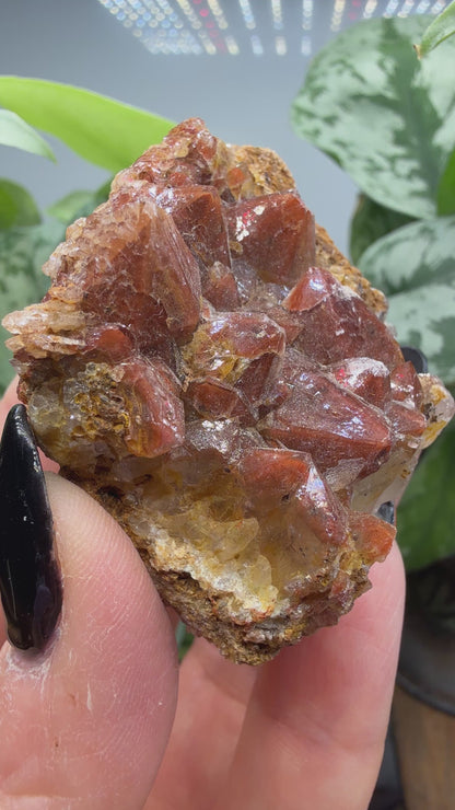 Red Quartz- Tinejdad, Er Rachidia Province, Meknes-Tafilalet Region, Morocco