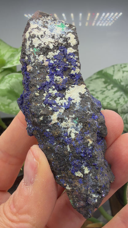 Azurite, Malachite- Morenci Mine, Morenci, Greenlee County, Arizona, USA