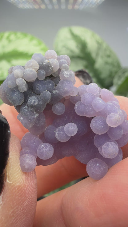 Grape Agate (Quartz var. Amethyst)- Mamuju Regency, West Sulawesi Province, Indonesia