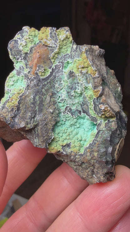 Tenorite, Chrysocolla- Chloride Mining District, Cerbat Mountains, Mohave County, Arizona