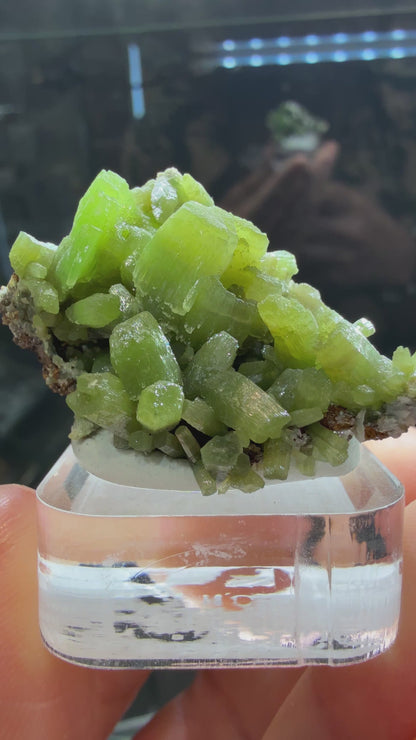 Pyromorphite- Daoping mine, Guangxi Zhuang, China