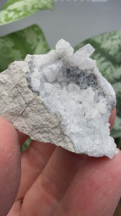 Celestine, Calcite- Meckley's Quarry, Mandata, Northumberland County, Pennsylvania, USA