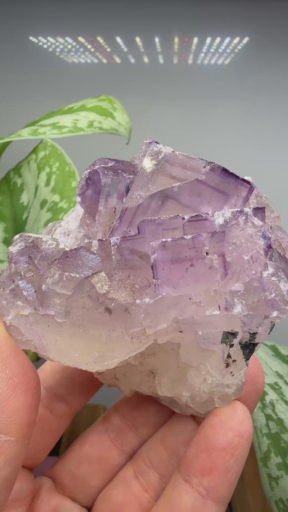 Fluorite- Cave-in-Rock, Hardin County, Illinois, USA