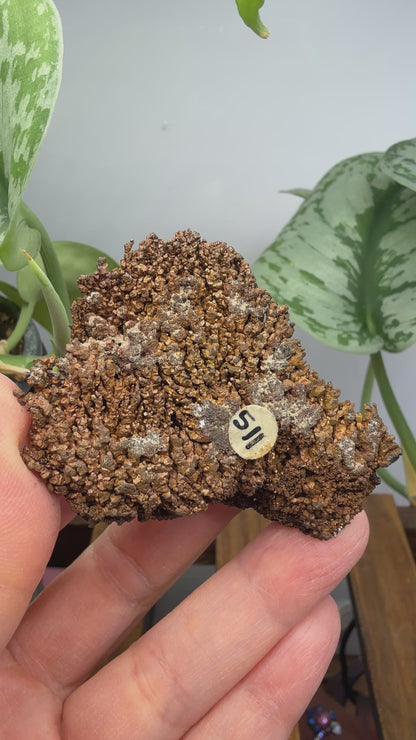 Native Copper- Nacozari, Sonora, Mexico