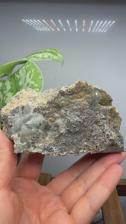 Aquamarine, Muscovite- Pingwu Beryl Mine, Mt Xuebaoding, Mianyang, Sichuan, China