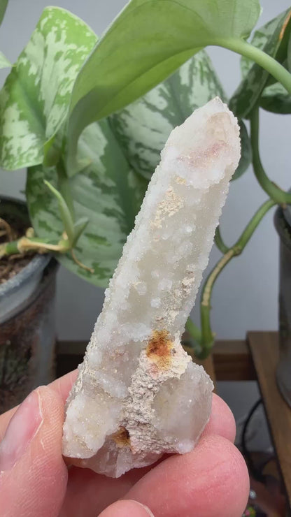 Witch’s Finger Druzy Quartz (White Cactus Quartz)- Boekenhouthoek, South Africa