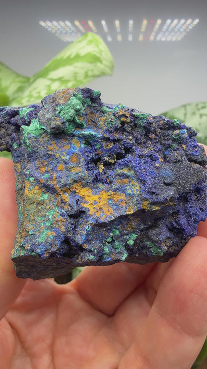 Azurite, Malachite- Morenci Mine, Morenci, Greenlee County, Arizona, USA