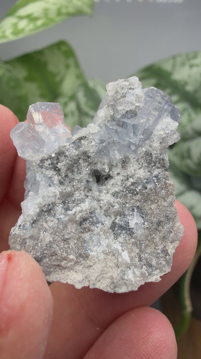 Celestine, Calcite- Meckley's Quarry, Mandata, Northumberland County, Pennsylvania, USA