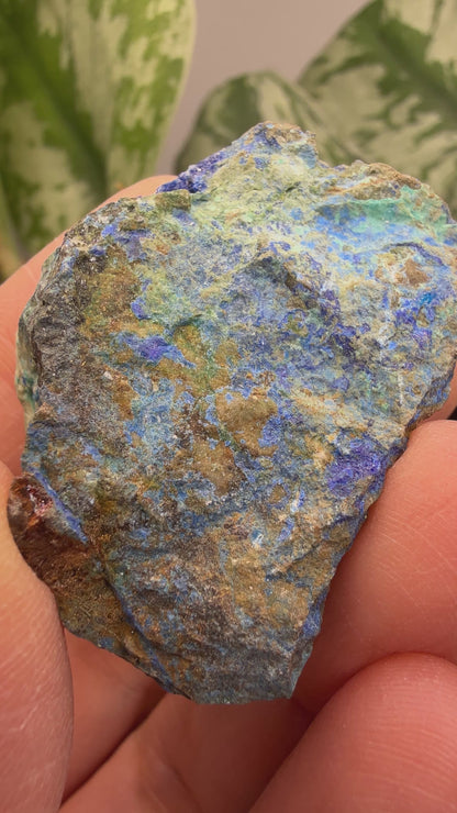 Linarite, Caledonite, Brochantite- Blue Bell Mine, Soda Mountains, San Bernardino County, California, USA