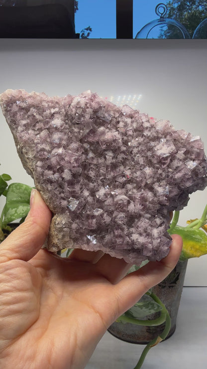 Fluorite- “The Ax”, Greenlaws Mine, Daddry Shield, Weardale, County Durham, England