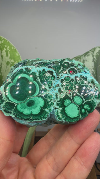 Malachite, Chrysocolla ("Malacholla")- Democratic Republic of the Congo (Slab) (Copy)