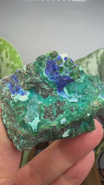 Chrysocolla, Azurite- Arizona, USA