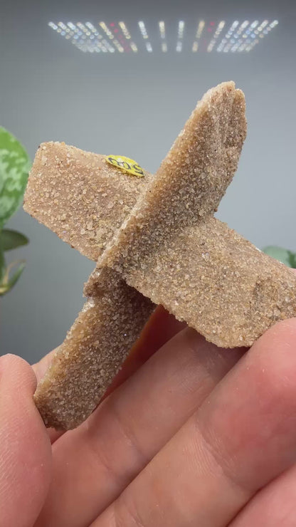 Sand-Included Selenite Crystal Cluster– Western Oklahoma, USA