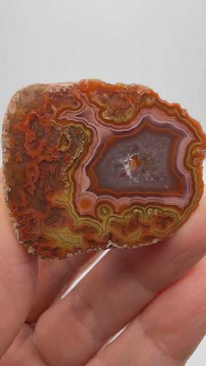 Agate (Laguna)- Estacion Ojo Laguna, Ahumada Municipality, Chihuahua, Mexico