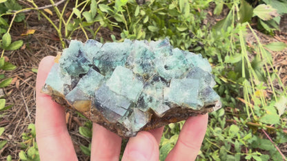 Fluorite - Naughty Gnome Pocket, Diana Maria Mine, Frosterley, Weardale, Co. Durham, England