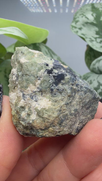 Ludlamite with Vivianite, Fairfieldite & Triphylite- Palermo No. 1 Mine, North Groton, New Hampshire, USA