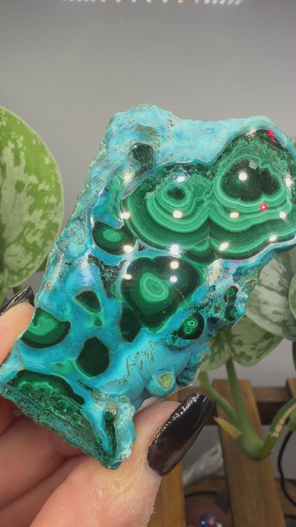 Malachite, Chrysocolla ("Malacholla")- Democratic Republic of the Congo (Slab)