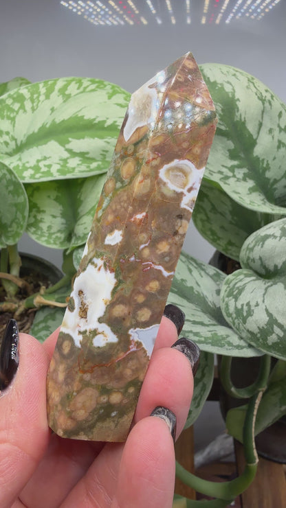 Ocean Jasper® Tower- Analalava District, Sofia Region, Madagascar