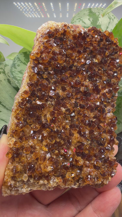 Citrine Plate, heat treated- Brazil