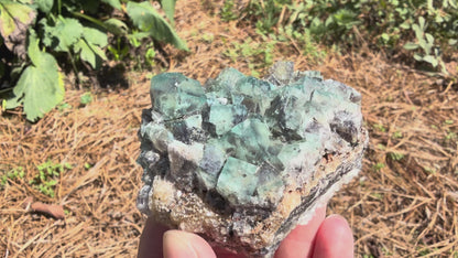 Fluorite - River Catcher Vein, Northern Lights Pocket, Diana Maria Mine, Frosterley, Weardale, Co. Durham, England