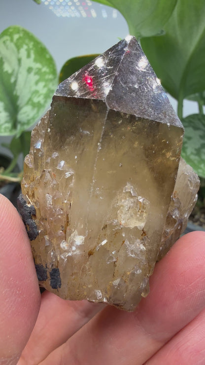 Citrine, var. Kundalini- Luena (Lwena), Democratic Republic of the Congo