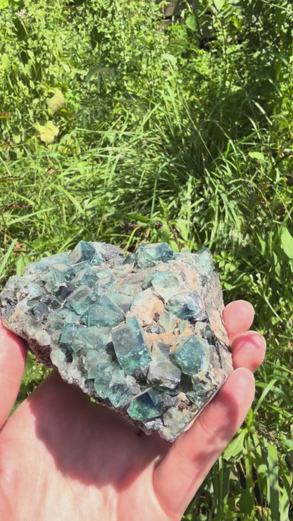 Fluorite - Hidden Forest Pocket, Diana Maria Mine, Frosterley, Weardale, Co. Durham, England