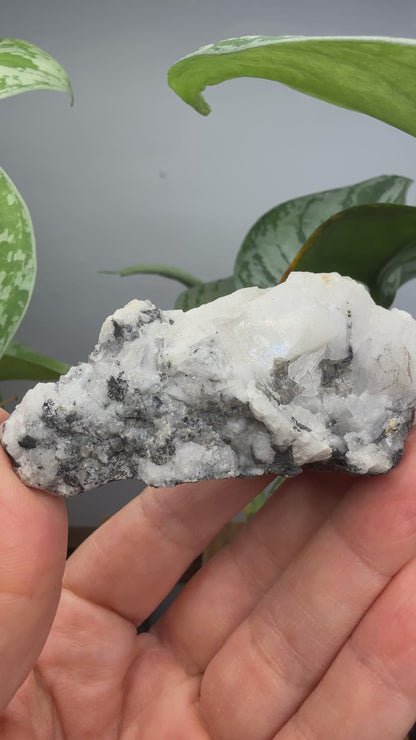 Woodhouseite- Champion Mine, White Mountain Peak, White Mountains, Mono County, California, USA