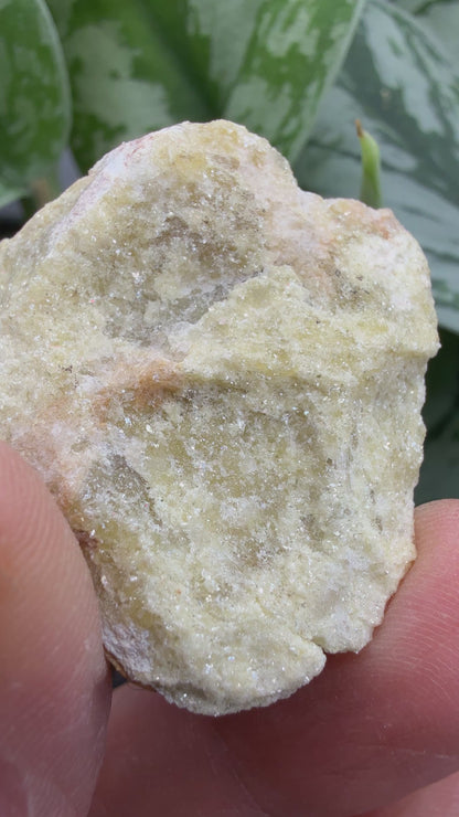 Yellow Lepidolite- Black Hills, South Dakota