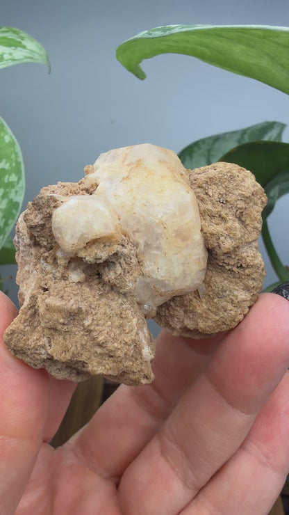 Analcime- Nova Scotia, Canada