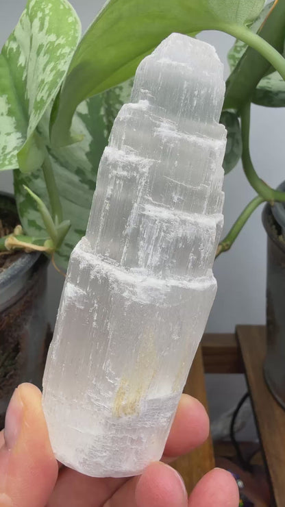 Selenite Crystal Tower- 4.1 inches tall