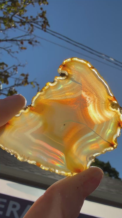 Rainbow Iris Agate- Indonesia