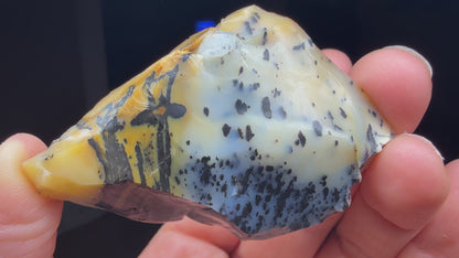 Opal (Common)- Virgin Valley, Humboldt County, Nevada, USA