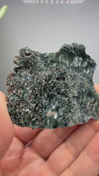 Seraphinite- Zheleznogorsk-Ilimsky, Irkutsk Oblast, Eastern Siberia, Russia