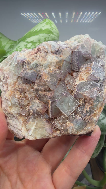 Fluorite- Blanchard Mine, Bingham, Hansonburg District, Socorro County, New Mexico, USA