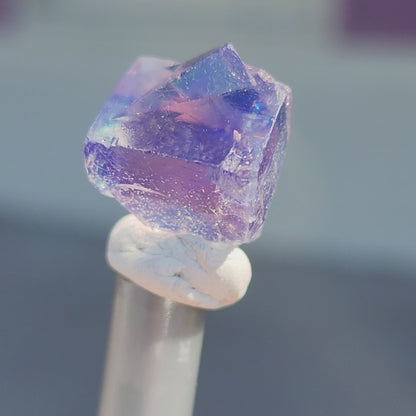 Fluorite- Hidden Forest Pocket, Diana Maria Mine, Frosterley, Weardale, Co. Durham, England