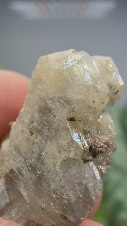 Hydroxylherderite- Poland, Maine