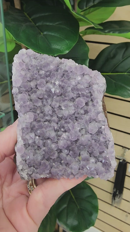 Amethyst Druzy Cut Base - 3.2 inches
