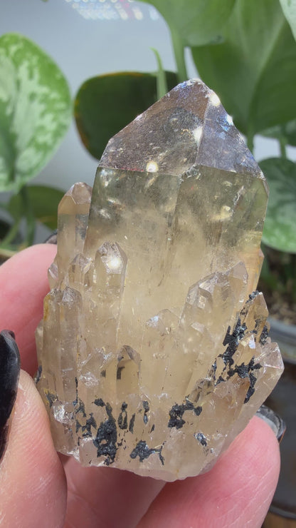 Citrine, var. Kundalini- Luena (Lwena), Democratic Republic of the Congo