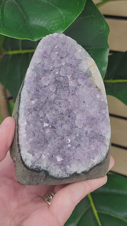 Amethyst Druzy Cut Base - 3.6 inches