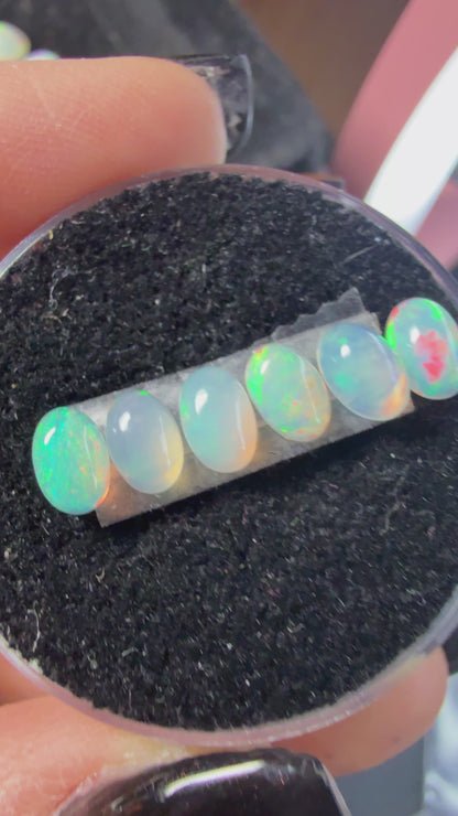 Matched Natural Welo Opal Cabochon Set (6)- 6x4x3mm, 1.945ct total- Broadflash, pinfire