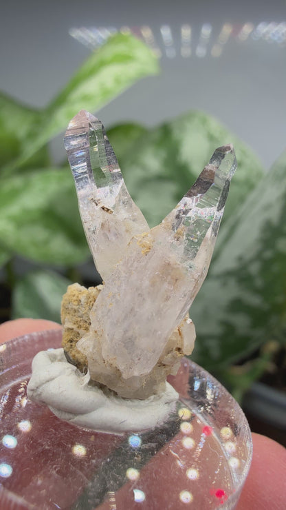 Amethyst- Las Vigas de Ramírez Municipality, Veracruz, Mexico