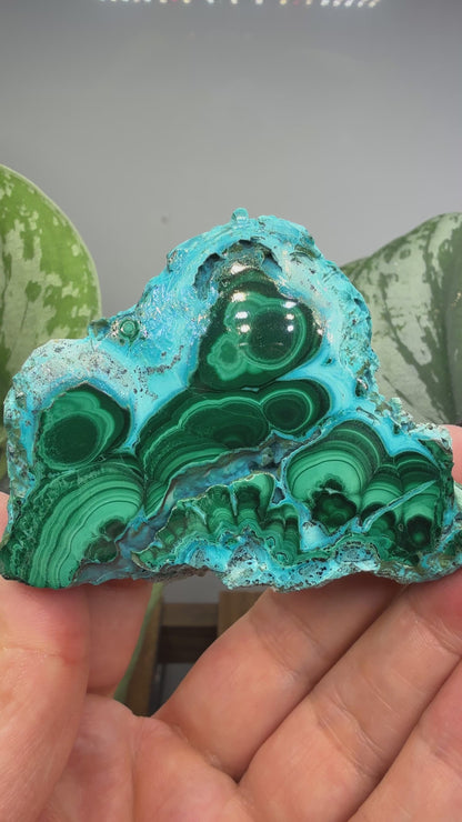 Malachite, Chrysocolla ("Malacholla")- Democratic Republic of the Congo (Slab)