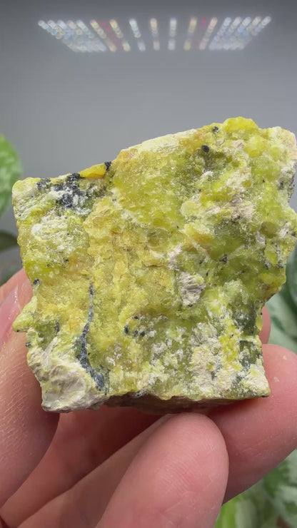 Serpentine with Ilmenite- Snarum, Modum, Buskerud, Norway