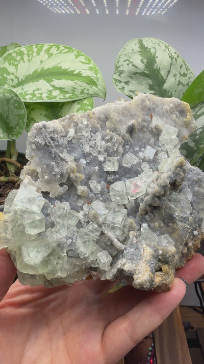 Fluorite, Chalcedony- Gobi Desert, Mongolia