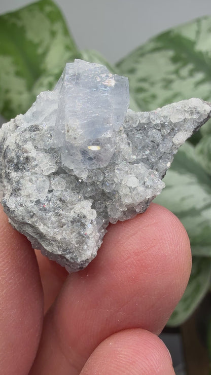 Celestine, Calcite- Meckley's Quarry, Mandata, Northumberland County, Pennsylvania, USA