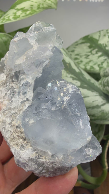 Celestine (Celestite) Geode/Cluster- Madagascar