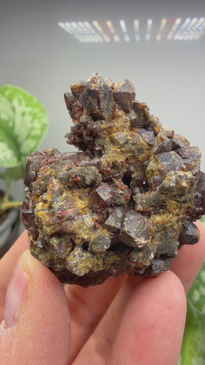 Sphalerite (Ruby Jack)- Tri-State District, Missouri, USA