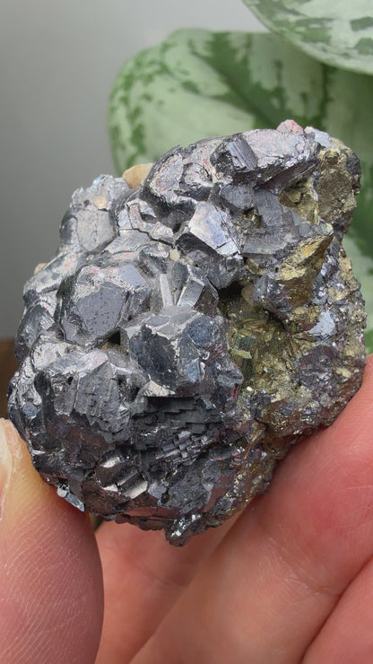 Galena with Pyrite- Huanzala Mine, Huallanca District, Bolognesi Province, Ancash, Peru